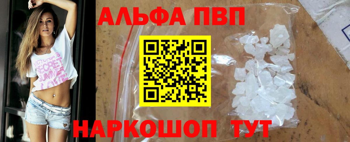 Альфа ПВП СК Тельмана